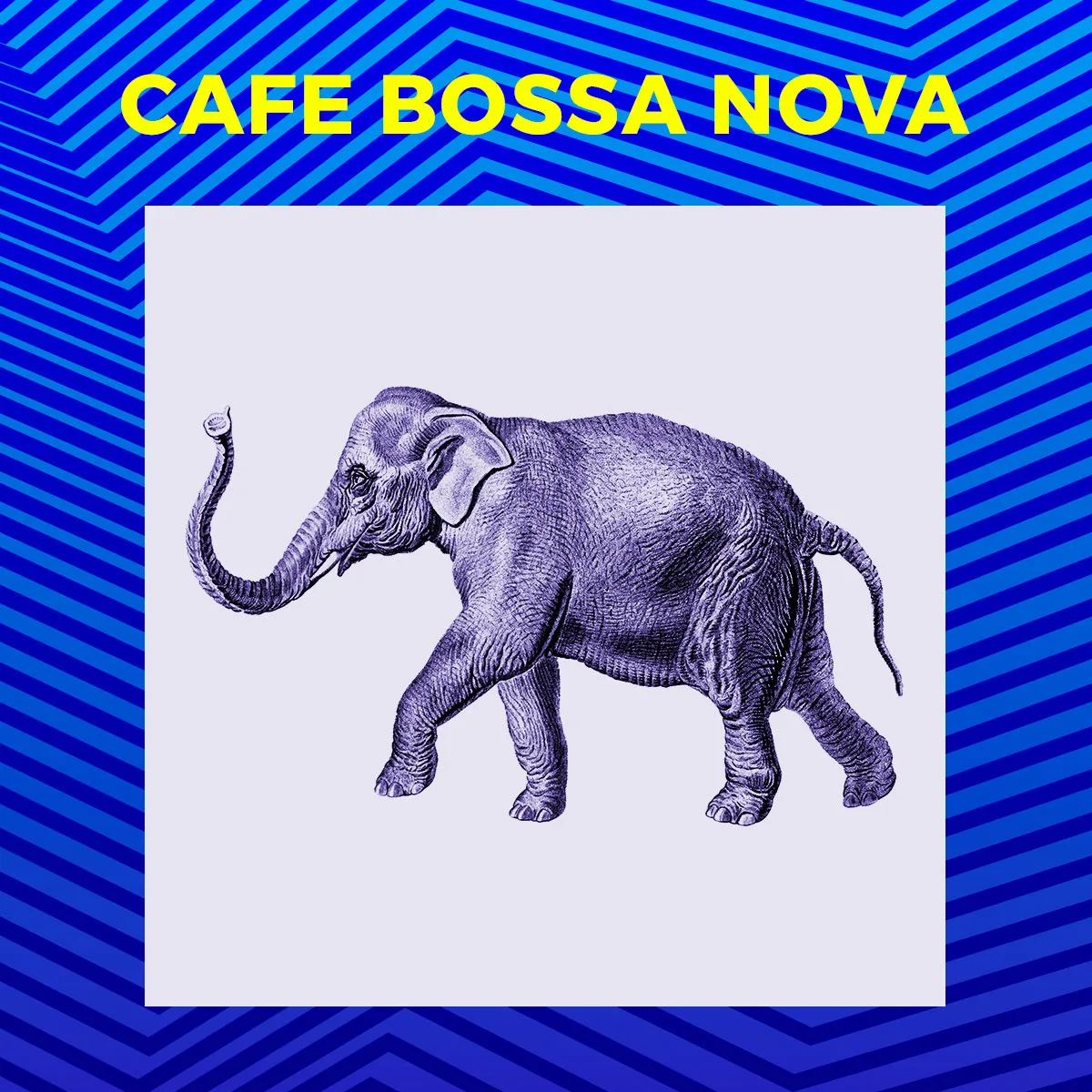 Cafe Bossa Nova