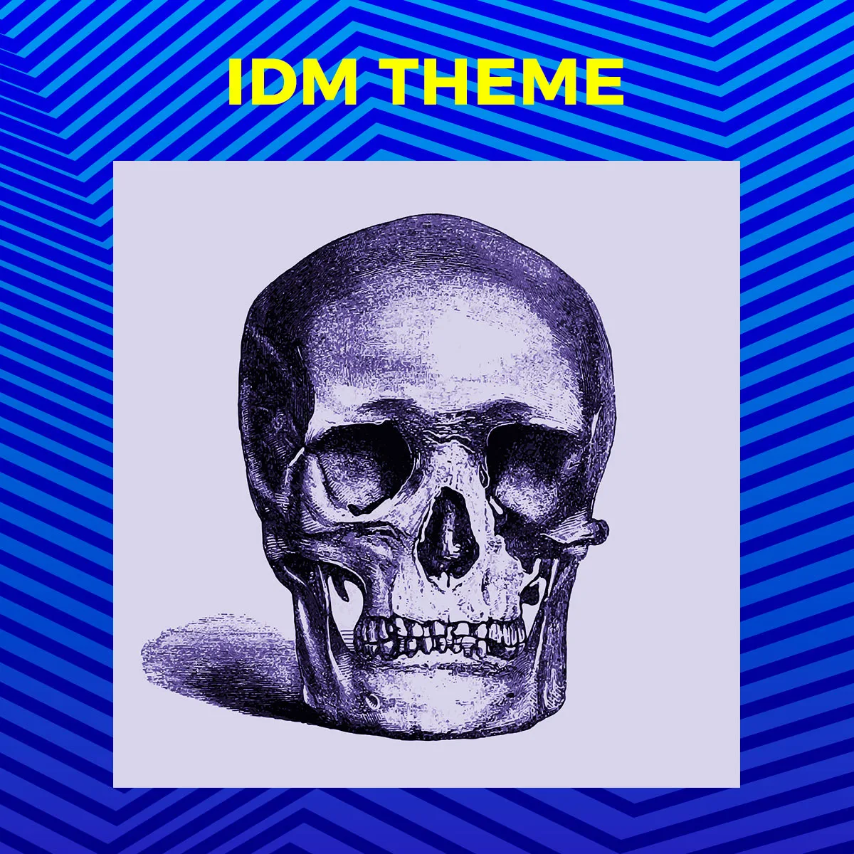 IDM Theme